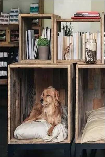 casita de madera para perros